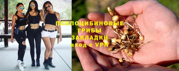 ALPHA-PVP Аркадак