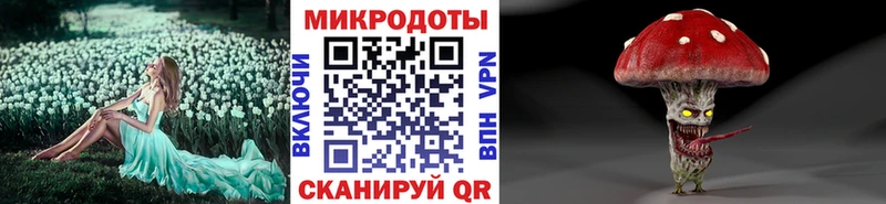 наркота  Чадан  Псилоцибиновые грибы мицелий 